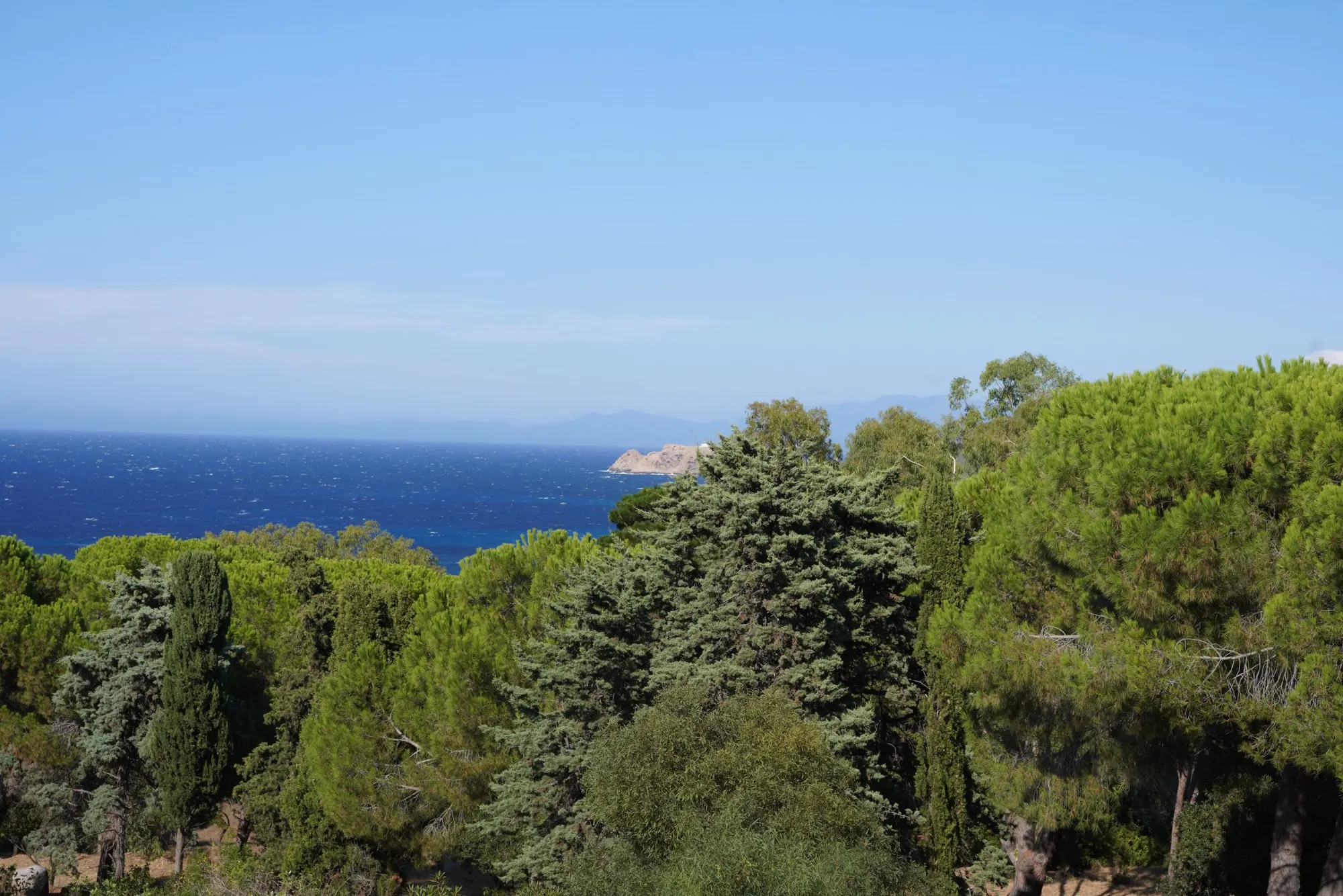 Vue panoramique sur la mer depuis les pins